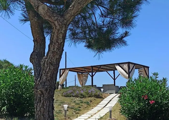 έλλη στούντιος και Πανσιόν