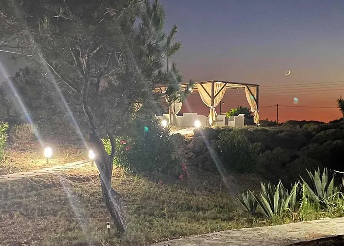 έλλη στούντιος και