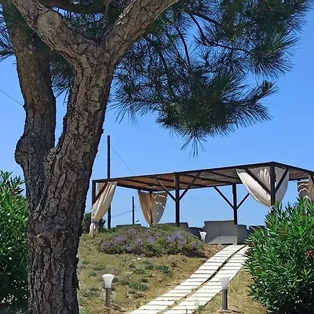 Elli And 게스트하우스