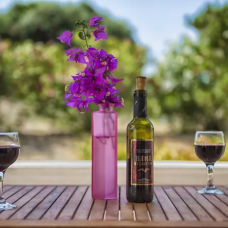 Gæstehus Elli And 4*